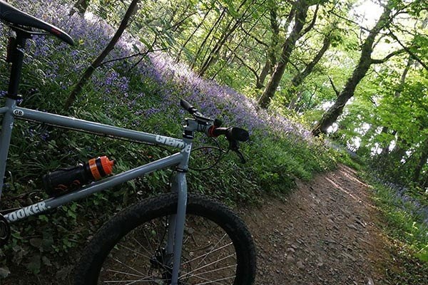 Angled shot of the Charge Cooker in a forest